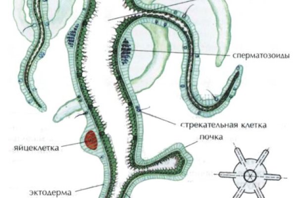 Сайты продаж наркотиков