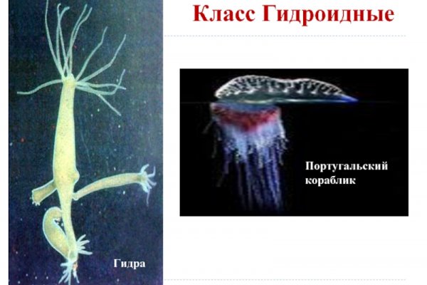 Kra30.at