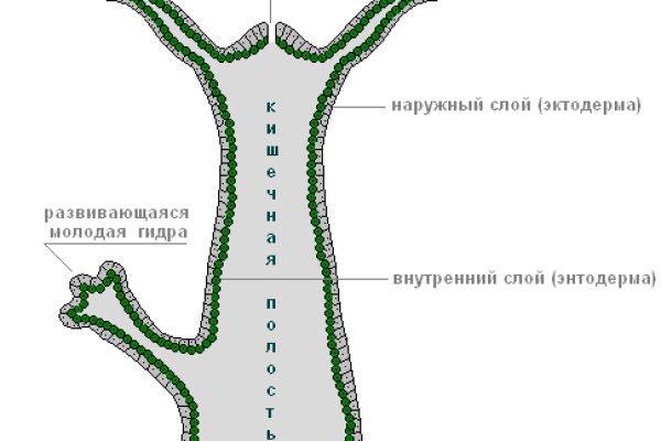 Восстановить доступ к кракену