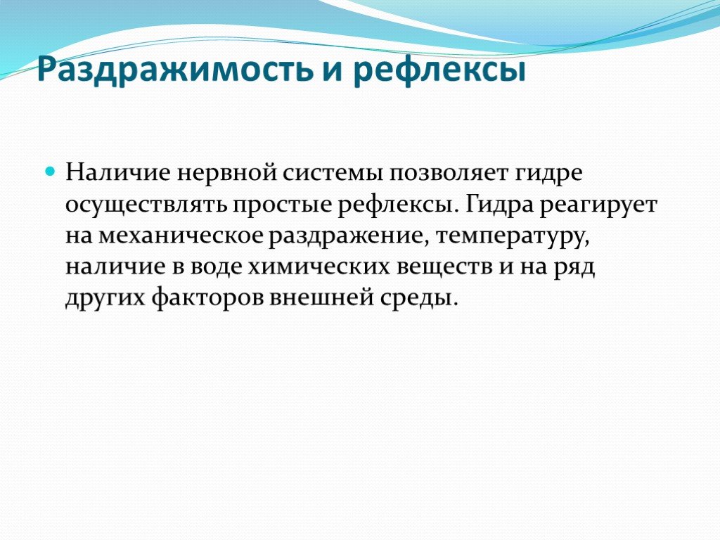 Кракен открылся